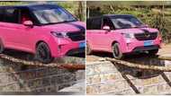 Brave driver in pink jeep drives across bridge that has only 2 sticks, video goes viral