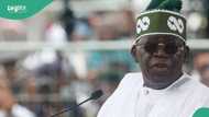 Economic hardship: Why Nigerians should be patient with Tinubu, youth advocate explains