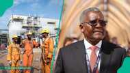 Dangote invites Young Nigerians to apply for its graduate programme, announces benefits, deadline