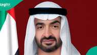 Want UAE citizenship? Government clarifies how many years doctors must work before applying