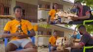 19-year-old showcases toys he's built with paper, one of them flies like aeroplane and runs as car