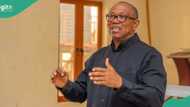 2027 election: Peter Obi speaks on rumoured PDP return