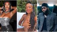 "I Apologize": Davido's U.S side-chic Anita flaunts baby bump & begs Nigerians to forgive her, clip trends