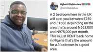 2 bedroom in the UK is from N562k to N975k per month: Nigerian man living abroad reveals
