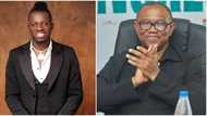 “That court na 8 years”: Comedian Akpororo taunts Peter Obi in viral video, Nigerians lambaste him