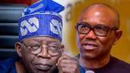 2023: Daga Ƙarshe Peter Obi Ya Bayyana Takamaiman Dalilin Sa Na Garzayawa Kotu Kan Zaɓen Tinubu