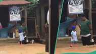 Nigerians react as apprentice kneels down with her toddler for being late to work, video surfaces