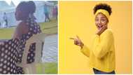 Emotional damage: Internet users amused as lady sported at event in matching outfit with chair