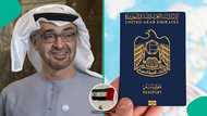 UAE releases 7 requirements for Virtual Work Residence Visa, mentions salary requirement, permit fee