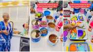 “My Children Must Enjoy”: Nigerian Mum Shows Chicken, Other Juicy Items She Puts in Her Kids’ Lunch Boxes