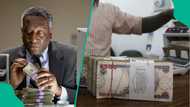 CBN policies boost naira stability as traders announces new exchange rate