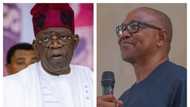 2023 presidency: Good news for APC as Tinubu gets major endorsement in Peter Obi’s territory