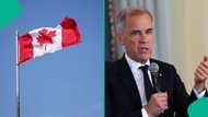 Canada announces job opening for professionals in 2026, lists skills in high demand