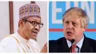 This is what Buhari told Boris Johnson about Nigeria, Brexit after his election victory