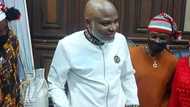 Nnamdi Kanu: Court slams FG huge fine in case against IPOB leader's co-accused