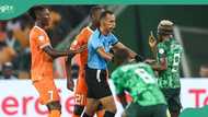 “He was against us”: Super Eagles Ndidi, Johnny Drille, others knock AFCON final referee