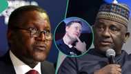 Forbes list: Dangote loses as Elon Musk makes total worth of 2 of Nigeria’s richest men in 6 hours