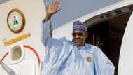 Xenophobia attacks: President Buhari to embark on 3-day visit to South Africa