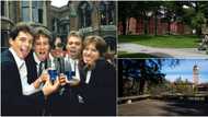 Top 10 best universities in the world 2021, Harvard is number 3 as African schools missing from list