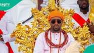 Traditional authority clash: HURIWA defends Ijaw autonomy against Olu of Warri’s claims