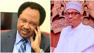 Shehu Sani reveals most fraudulent government institution under Buhari’s administration