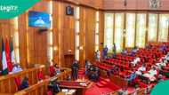 Breaking: Senate summons defense minister, DSS, NIA, IGP others