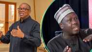 2027 election: ‘Why Peter Obi will not get ADC, PDP, LP presidential ticket’, Bwala explains in trending video