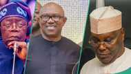 Supreme Court: Fresh twist as prominent cleric predicts rerun between Atiku, Peter Obi