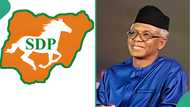 “El-Rufai not our member”: Drama as SDP disowns ex-Kaduna gov, gives 1 condition for membership