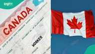 Japa: Canada invites carpenters, plumbers, technicians from Nigeria, others