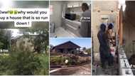 "This is inspiring": Smart couple buys bushy old house, transforms it into a fine home, cute video wows many