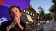 Elon Musk announces free Starlink internet support after severe flooding