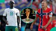 Norway vs Senegal: Mysterious cat predicts 2026 FIFA World Cup match