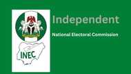 History of INEC in Nigeria: interesting facts you should know