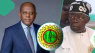 Tinubu reportedly orders NNPCL to transfer crude oil revenues to CBN amid naira free-fall