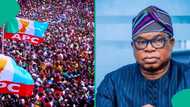 Osun 2026 election results: Full list of LGAs won by Oyebamiji's APC