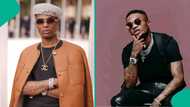 Wizkid's Morayo occupies first 16 positions on Apple Music for 8 days: "Na FC dey run am"