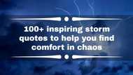 100+ inspiring storm quotes to help you find comfort in chaos