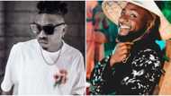 Mayorkun out of DMW? Speculations rise on social media as singer releases new song under Sony Music