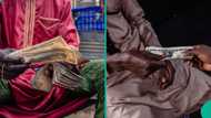Expert forecasts naira performance against US dollar next week