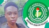 200-level medical student who wrote JAMB for fun posts 2026 UTME result, screenshot draws attention