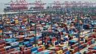 IMF slashes China growth forecasts as trade war deepens