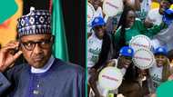 Flashback: How ex-President Buhari banned Nigeria basketball team from international competitions