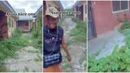 "ASUU, una try o": Video shows students' hostel overgrown by tall grasses, people react