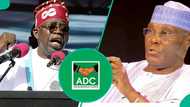 ADC coalition: Atiku holds "strategic meeting" with Buhari’s former appointee, others, photo emerges