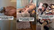 Father hears weird noises coming from little daughter's room, opens door to check, video goes viral
