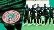 Top 4 coaches in line for Super Eagles job including ex-Manchester United manager