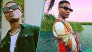 Wizkid makes fans go gaga as he hypes himself, gets nods: "That one no concern this Davido fan"