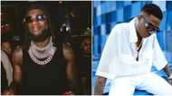 "Wizkid was the first person to embrace my music and took me out in Lagos": Burna Boy hails colleague, Sauce Kid