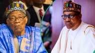 “Why Buhari allegedly snubbed Babangida’s book launch”: Jonathan Vatsa speaks